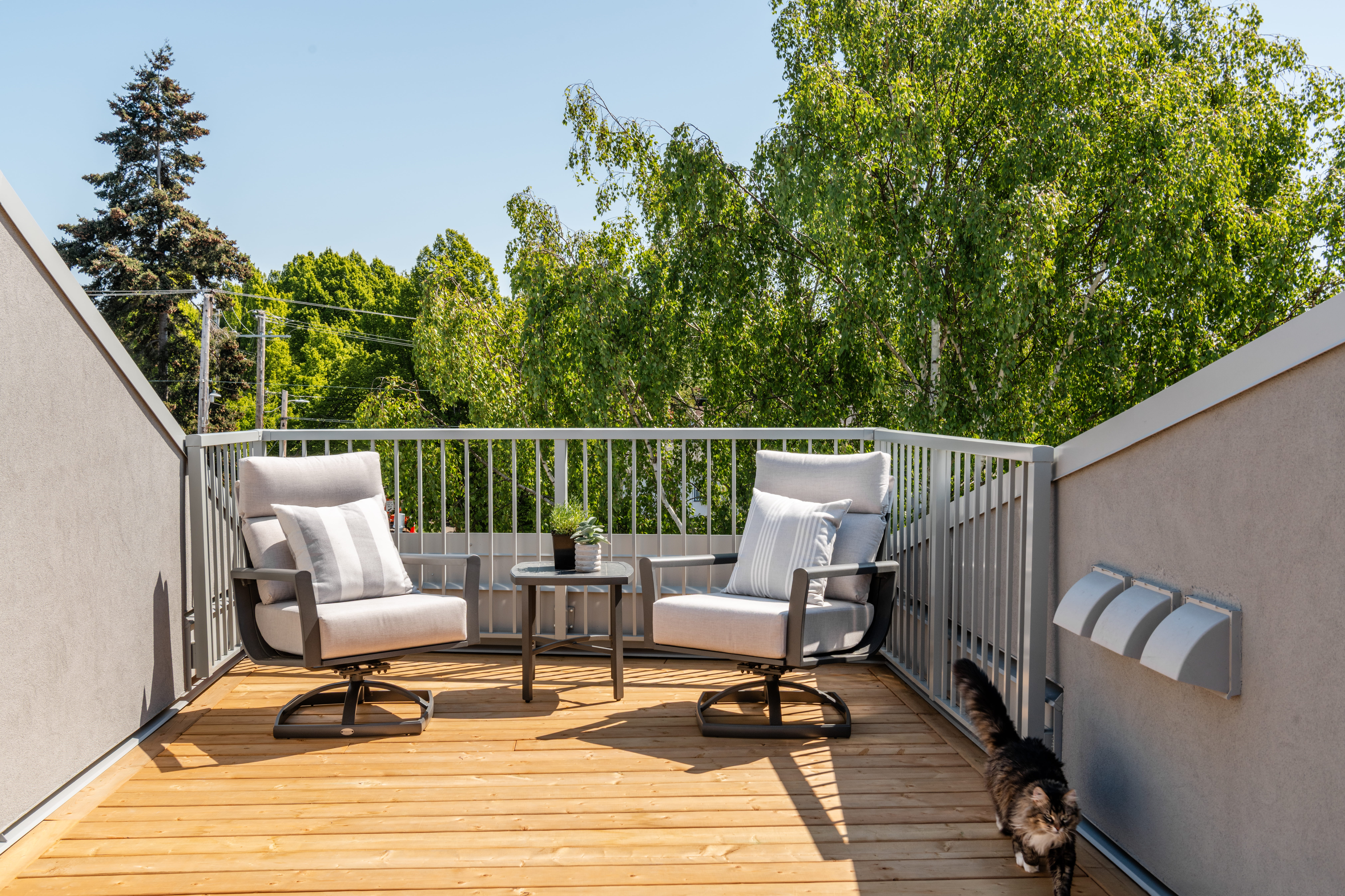 The Progress article preview